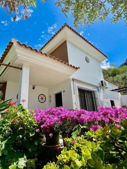 Вилла Casa La Roca Эль-Гастор Экстерьер фото